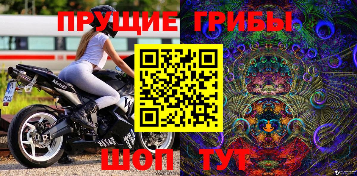 Добрянка  Псилоцибиновые грибы Psilocybe  Псилоцибиновые грибы GOLDEN TEACHER  Вход с VPN 